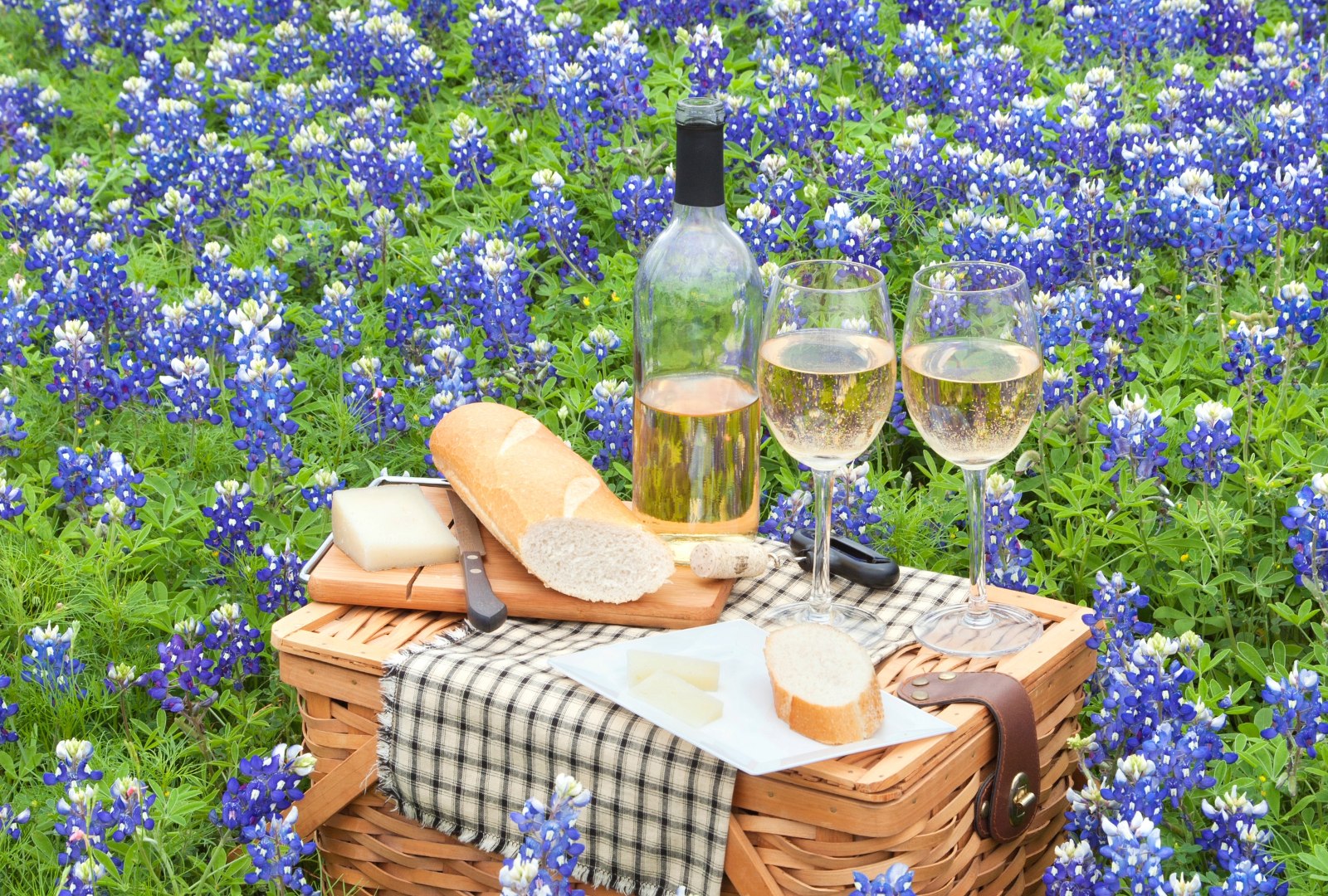 Texas Wine News Roundup: Spring 2025