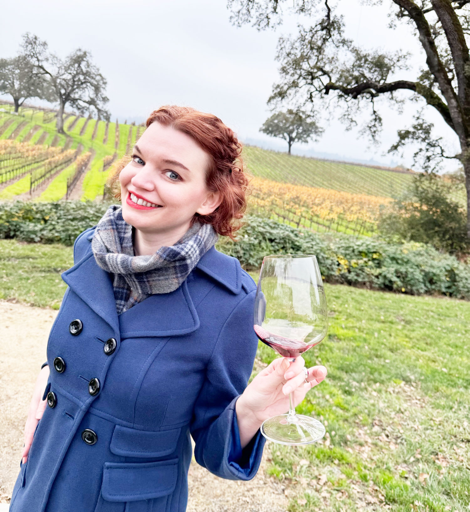 The Wine Fairy 2025 recap: Our first year by the numbers