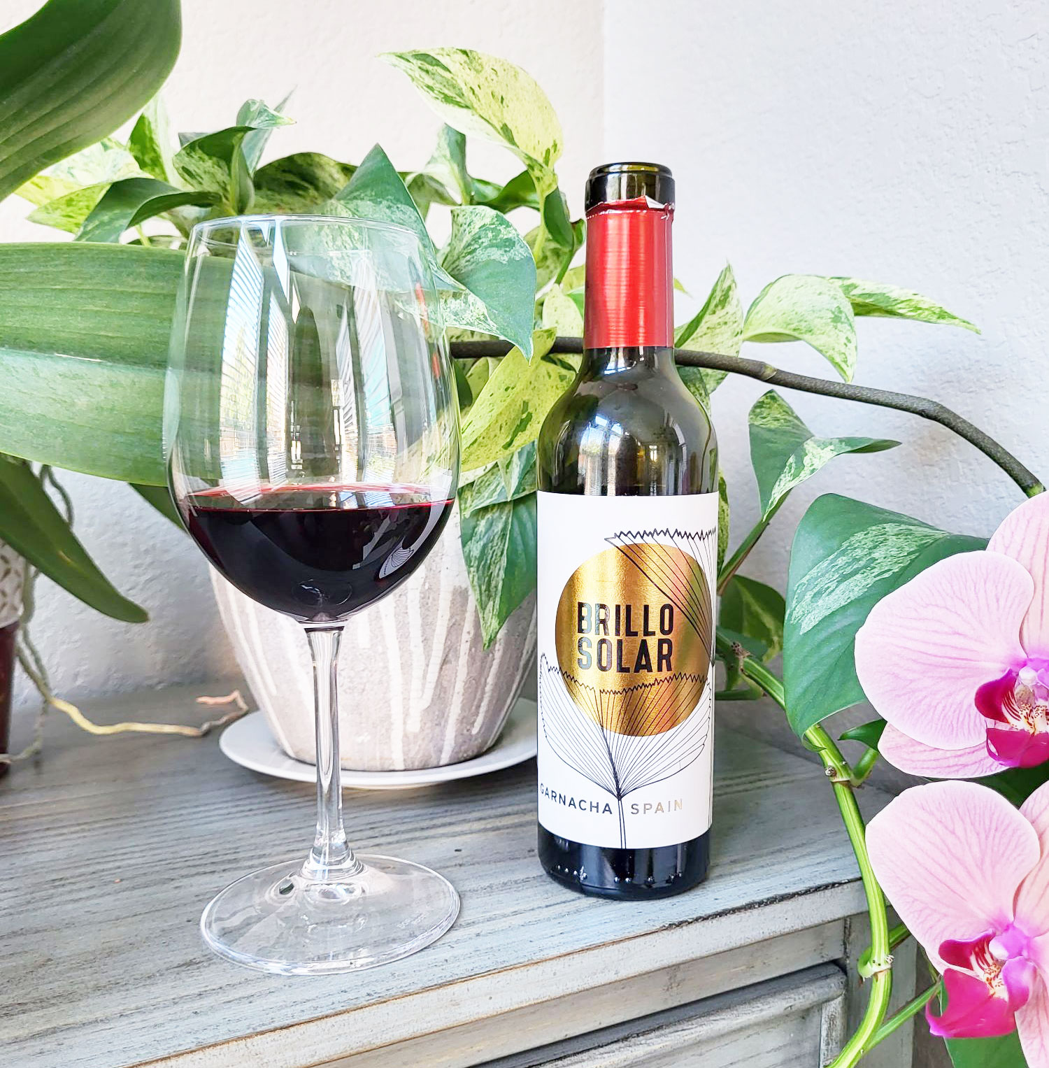 Costco Advent Calendar Wine #21: Brillo Solar Garnacha (Spain)