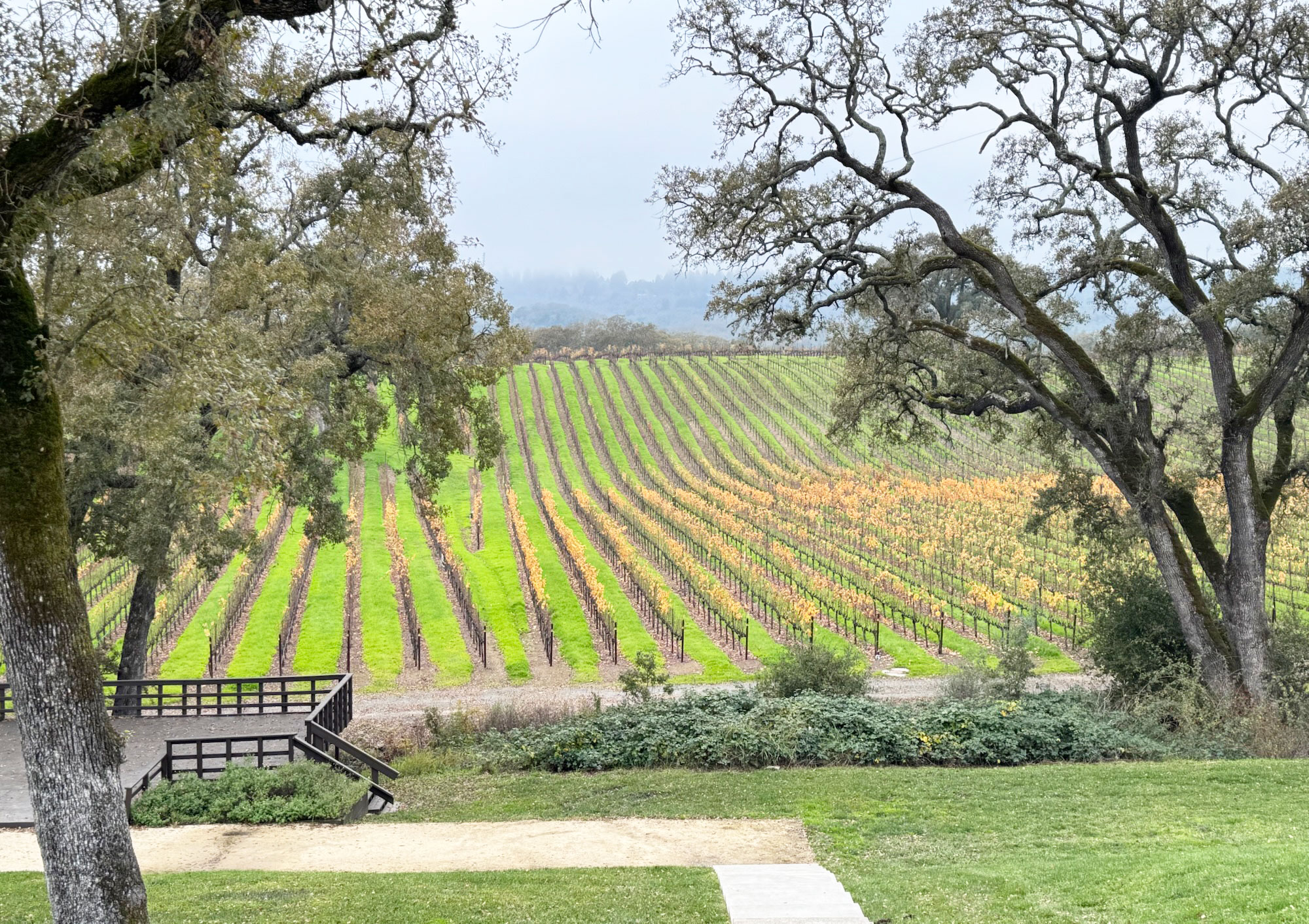 Wine Road Trip: Sonoma County in winter